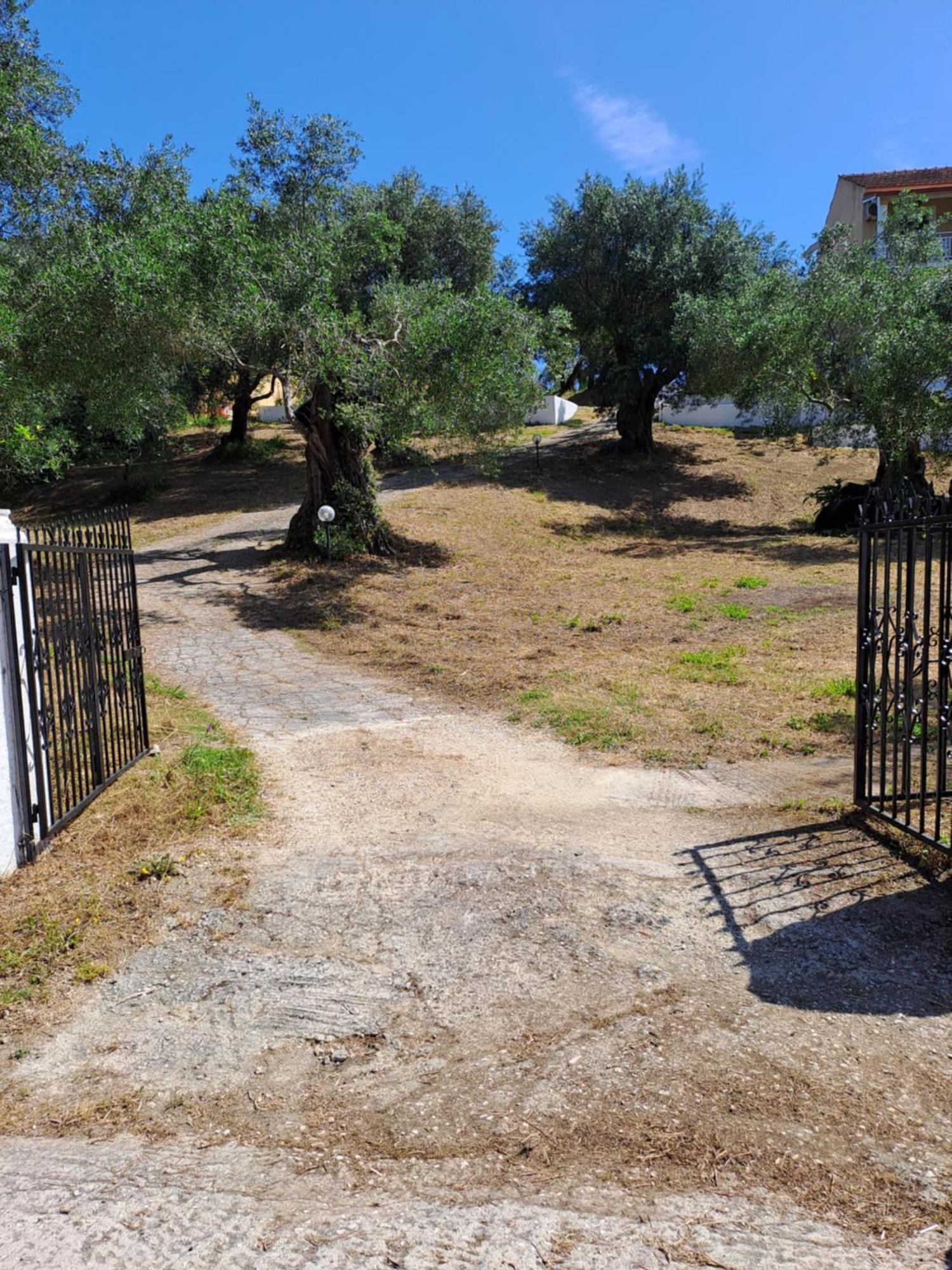 Evridiki Apartments Mesongí Buitenkant foto